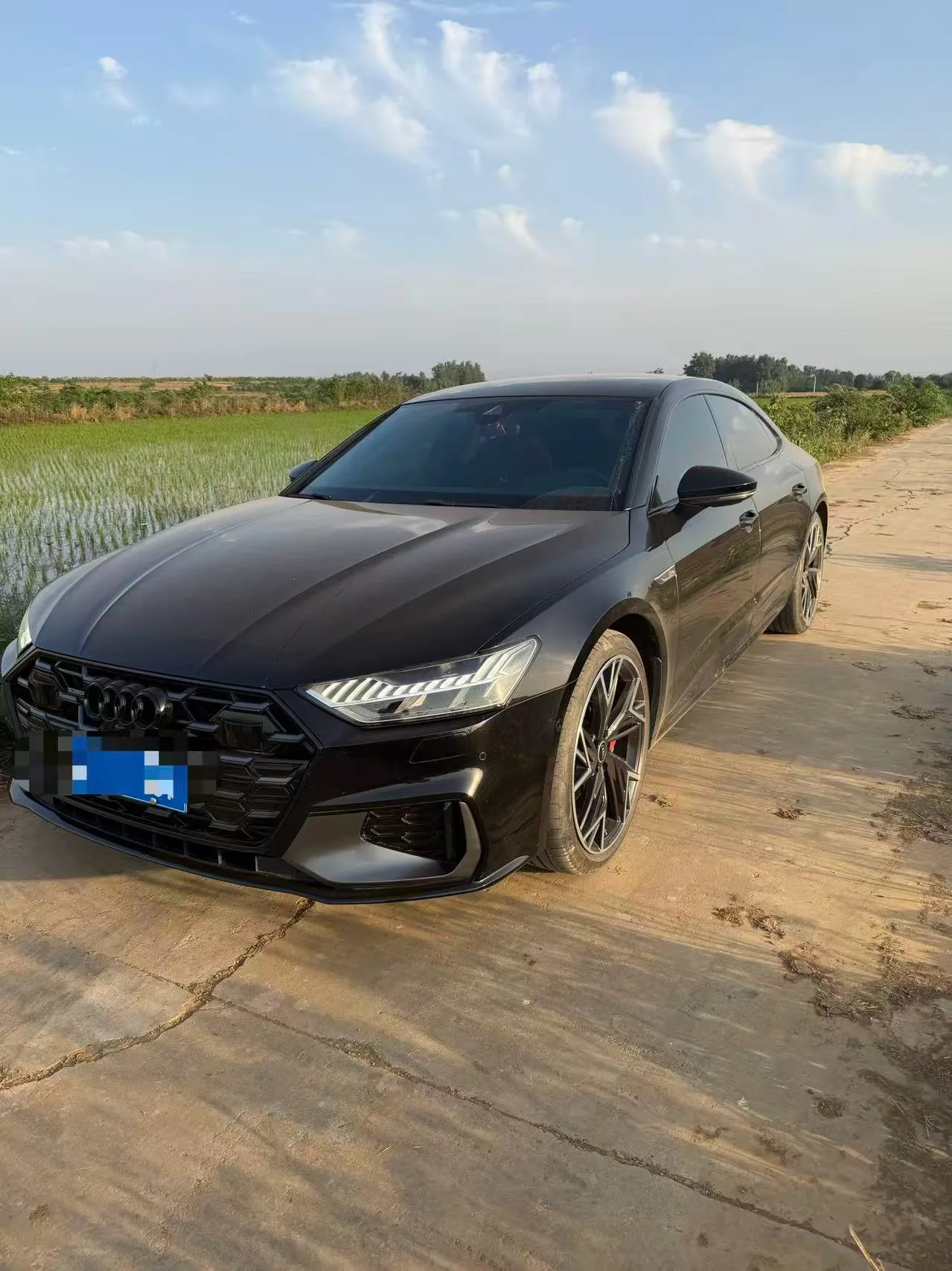 Audi 2024 A7L 2.0TFSI 45TFSI Quattro Black Knight Edition Automatic