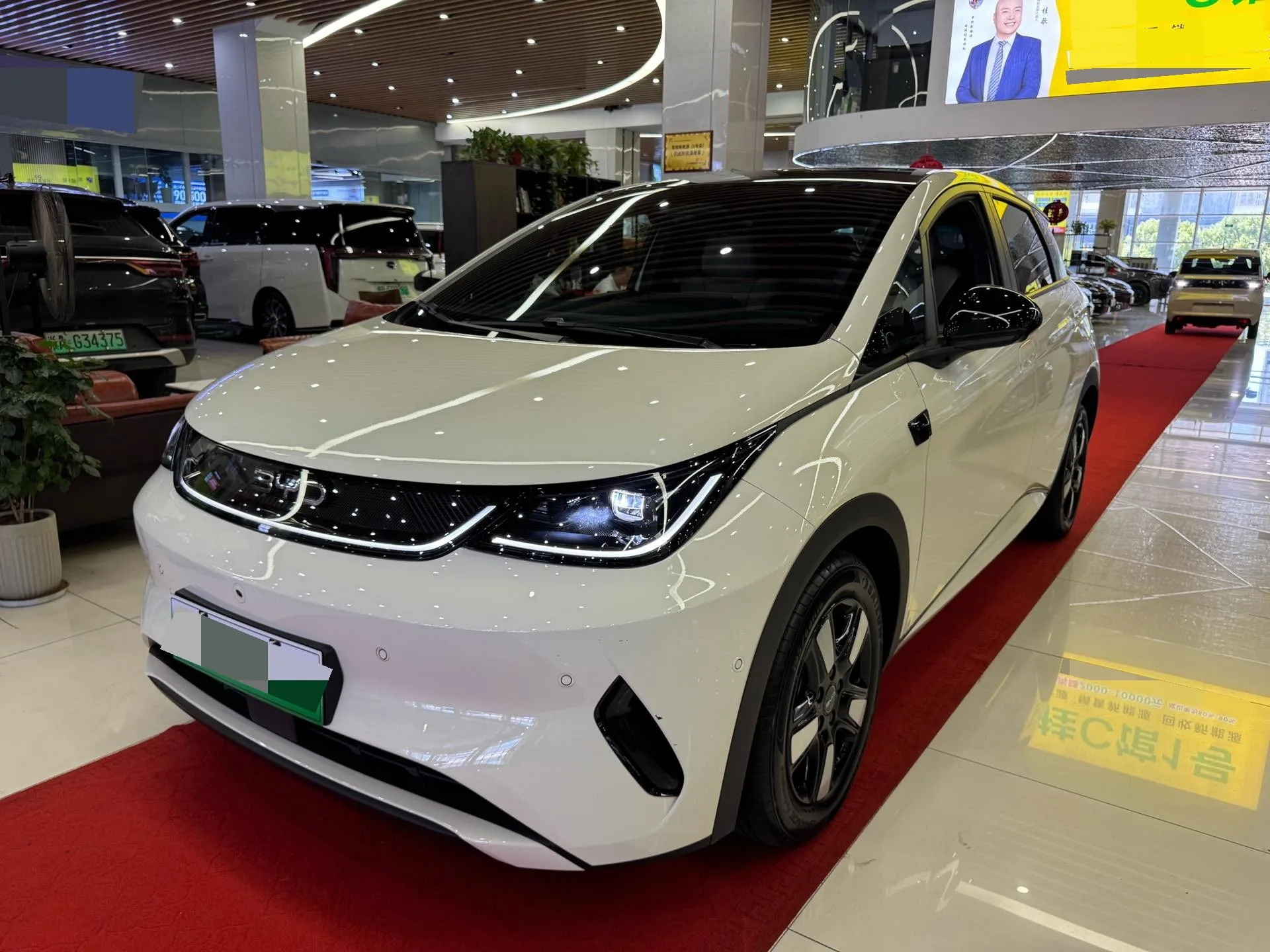 BYD 2025 Dolphin Smart Driving Edition 410km Fashion Edition Automatic
