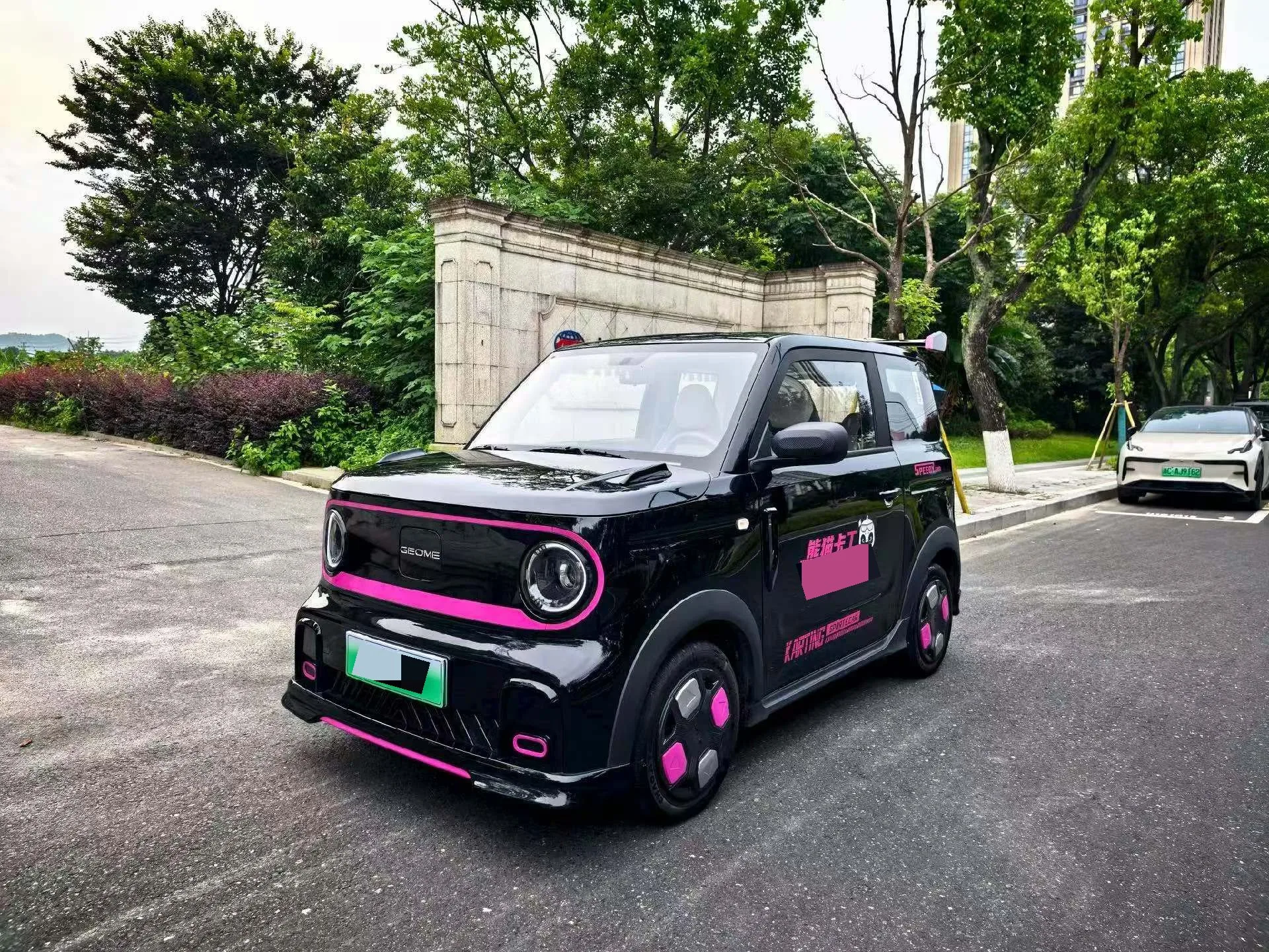 Geely 2025 Panda MINI 210km Panda Go-Kart Automatic
