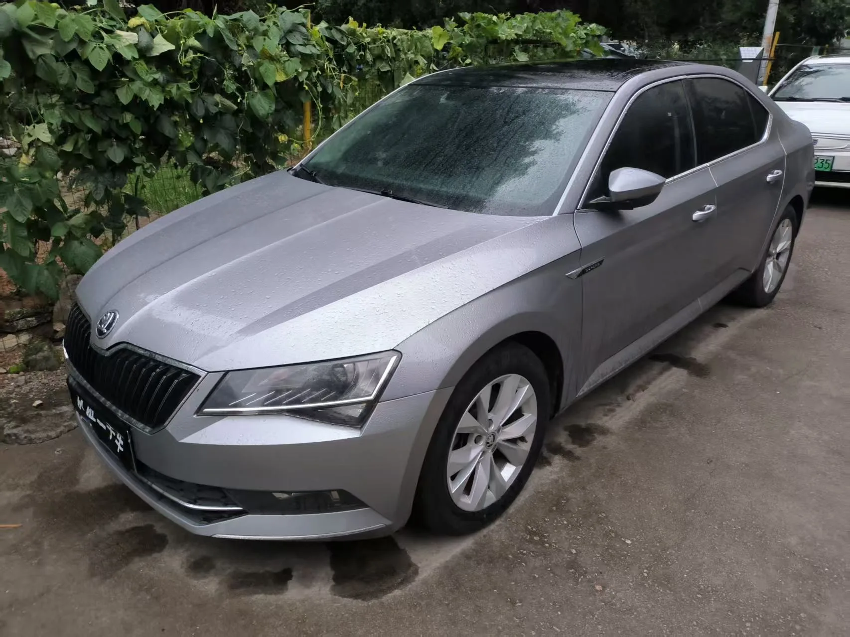 Superb 2018 TSI330 DSG Comfort Edition (National V Emission Standard)