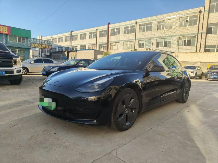 Model 3 2021 Standard Range Rear-Wheel Drive Upgrade