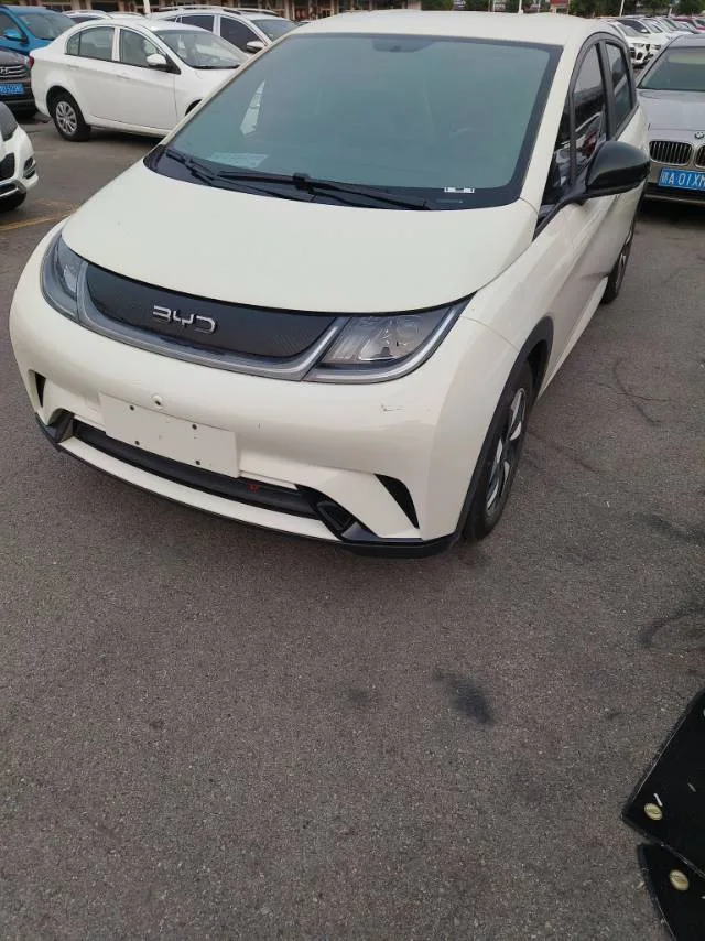 BYD 2025 Dolphin 420km Vitality Edition Automatic
