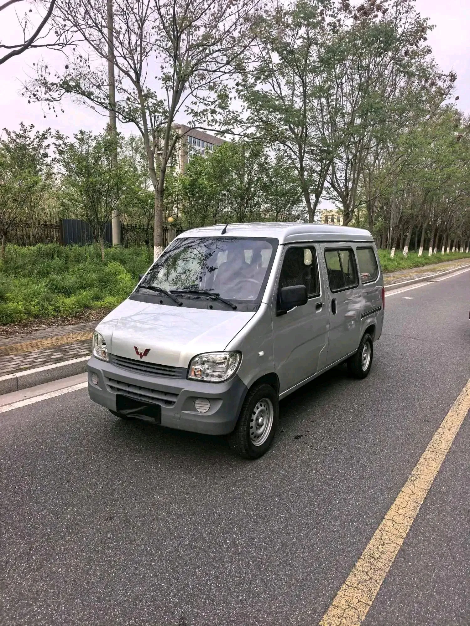 Wuling 2020 Wuling Zhi Guang 1.2 Practical Edition, Manual Transmission