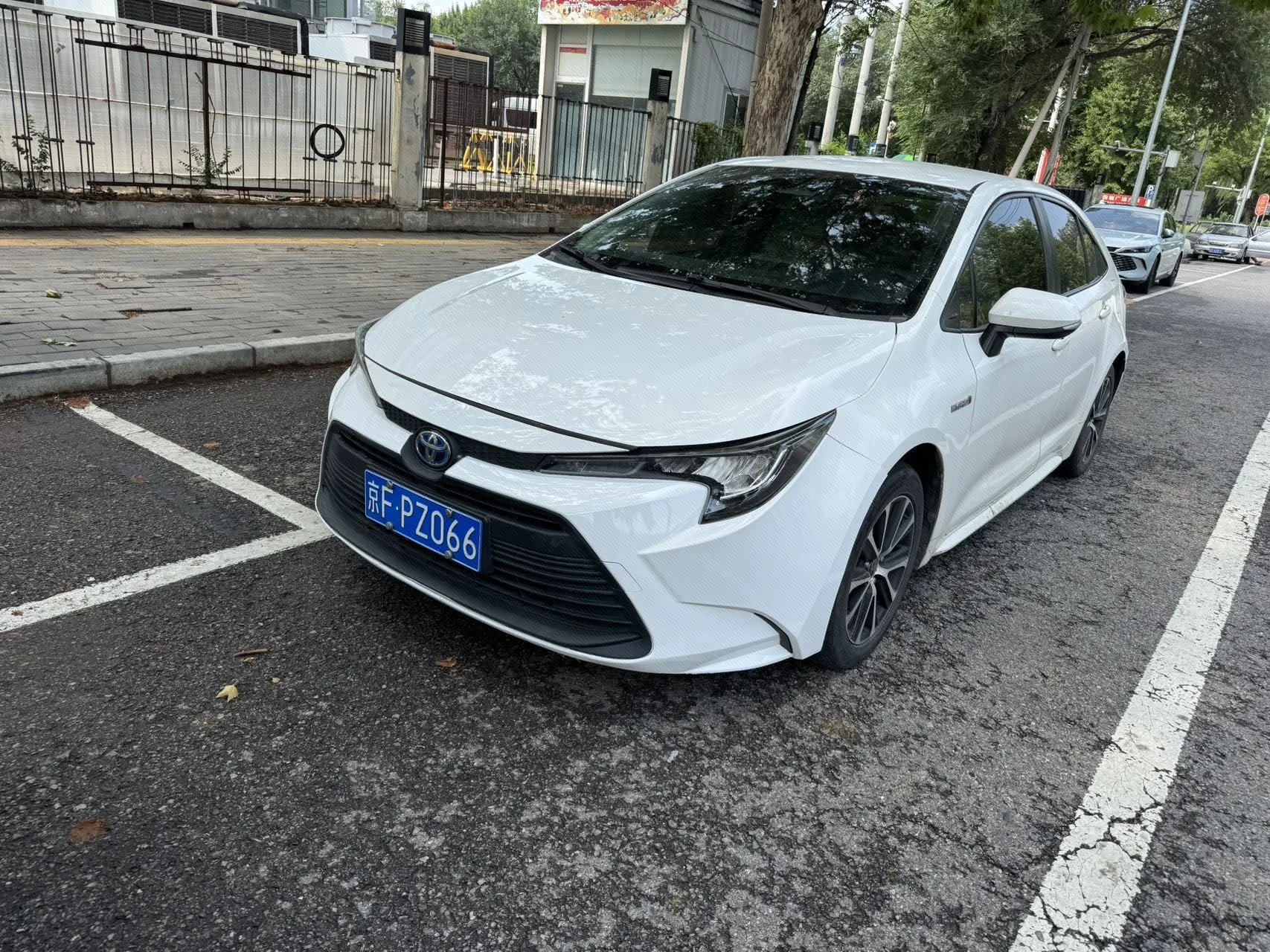 Levin 2022 Hybrid 1.8H E-CVT Sport Edition