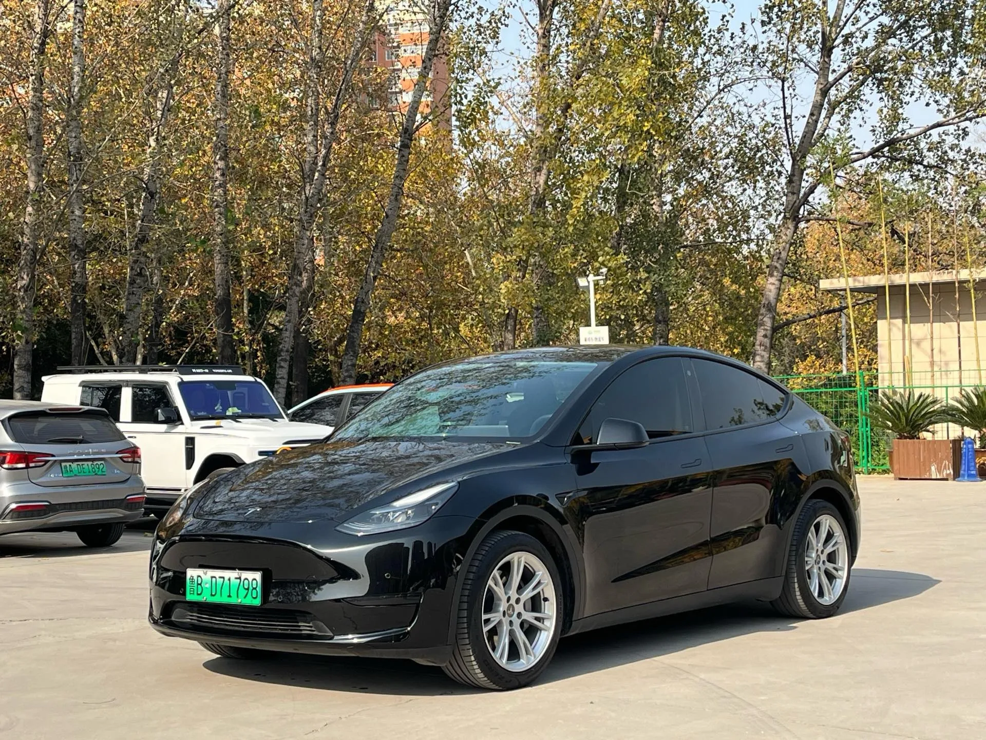 Model Y 2022 Rear-Wheel Drive