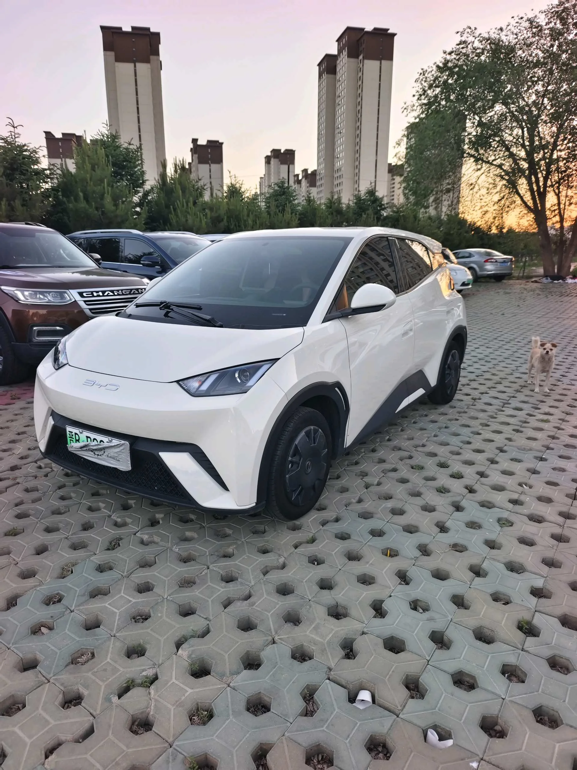 BYD 2023 Seagull Vitality Edition Automatic