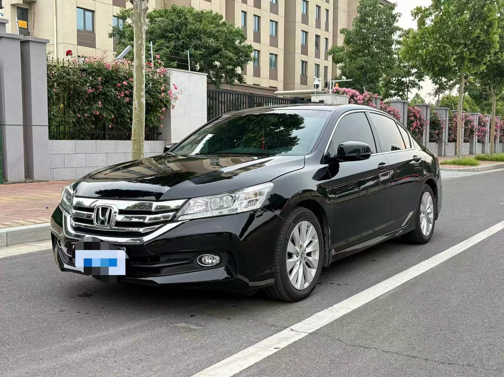 2014 Honda Accord 2.4L EXN Luxury Navigation Edition