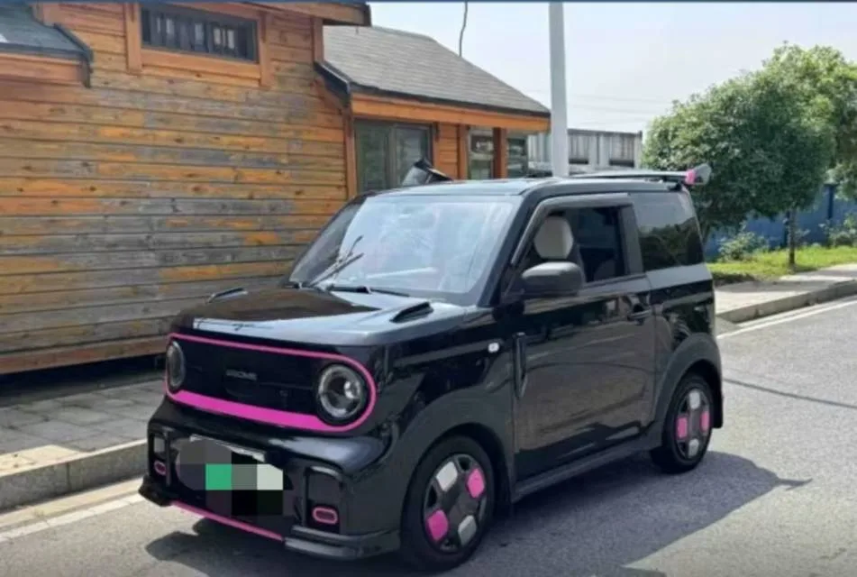 Geely 2025 Panda MINI 210km Panda Go-Kart Automatic