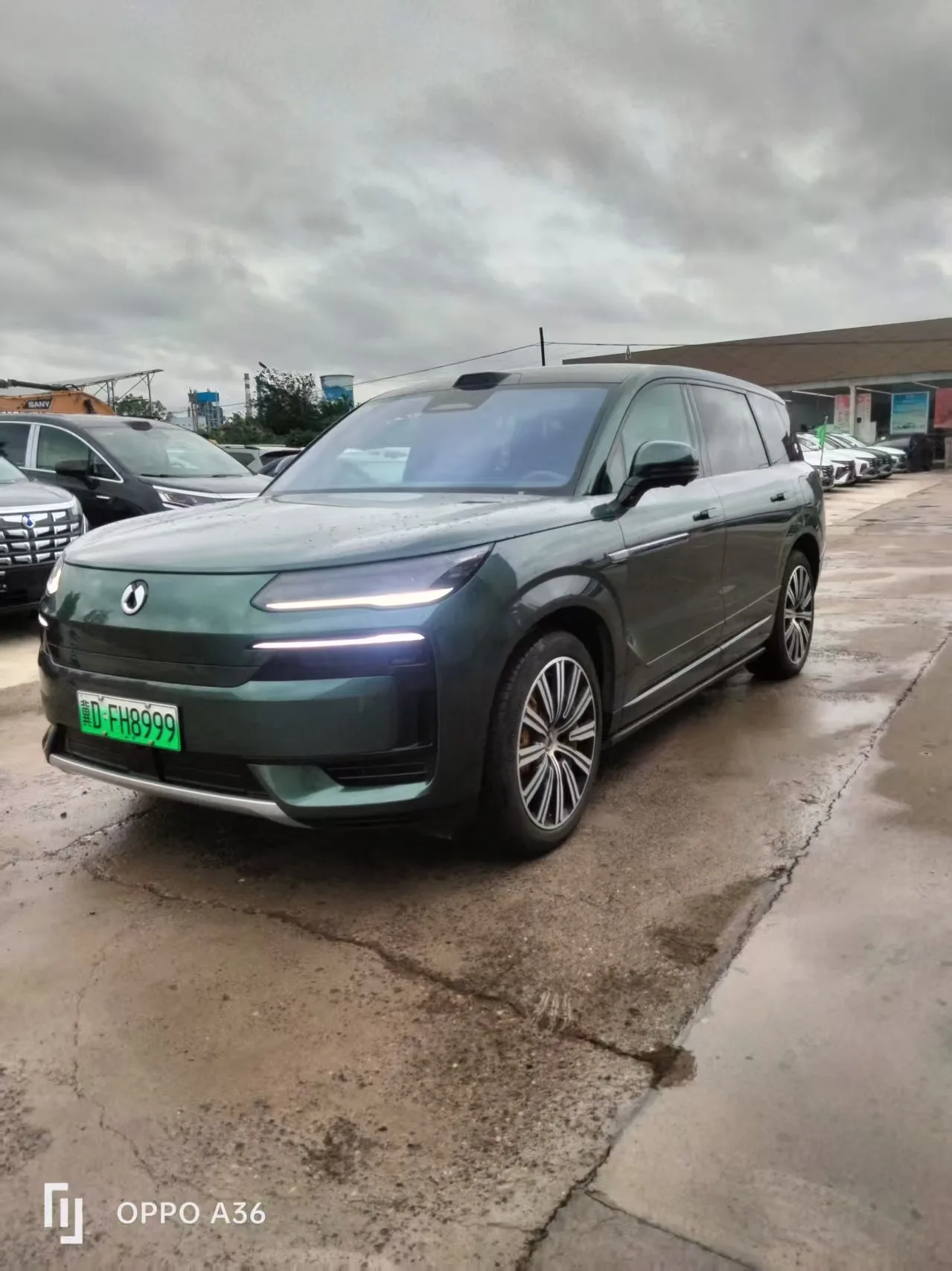 Denza 2025 Denza N9 2.0T CVT 1300 Flagship Automatic