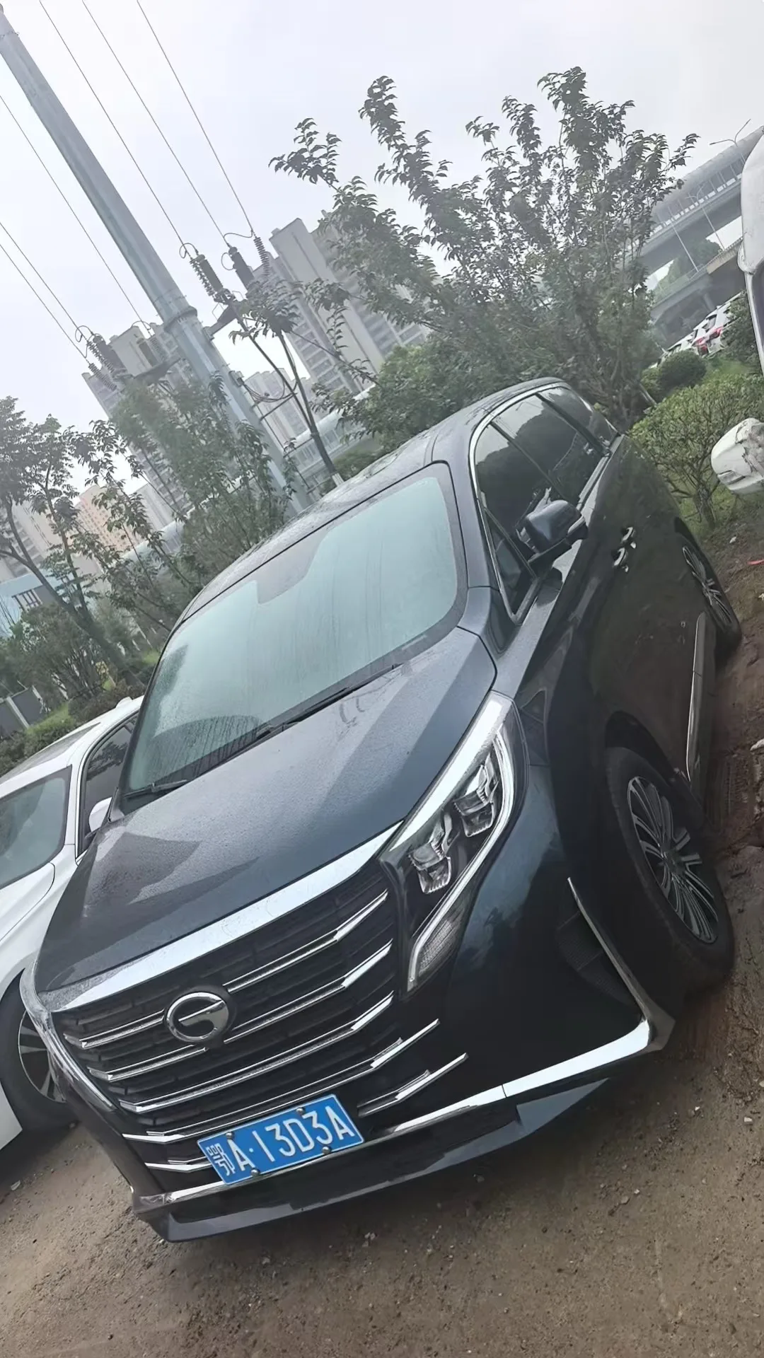 Trumpchi M8 2021 Leading Series 390T Premium Edition