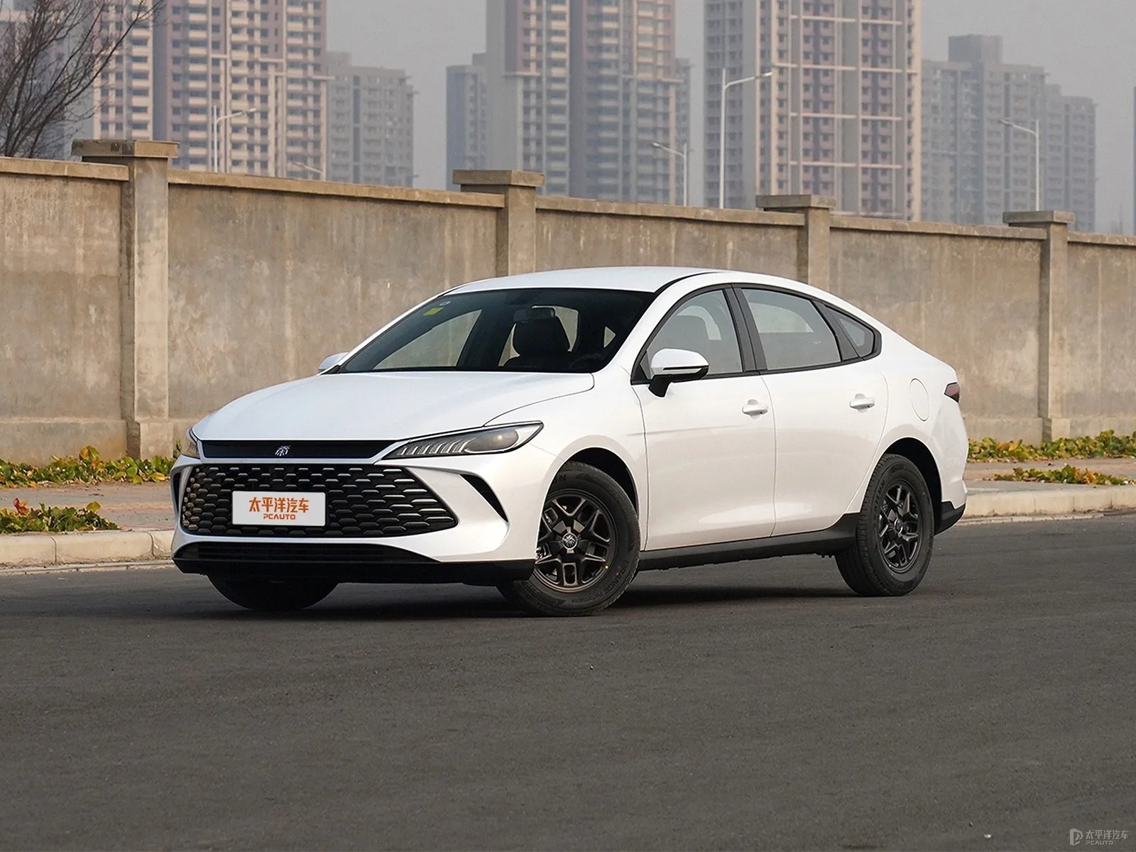 BYD Qin PLUS DM-i 55KM Lead Edition — Modified new car for export from China (listing thumbnail)