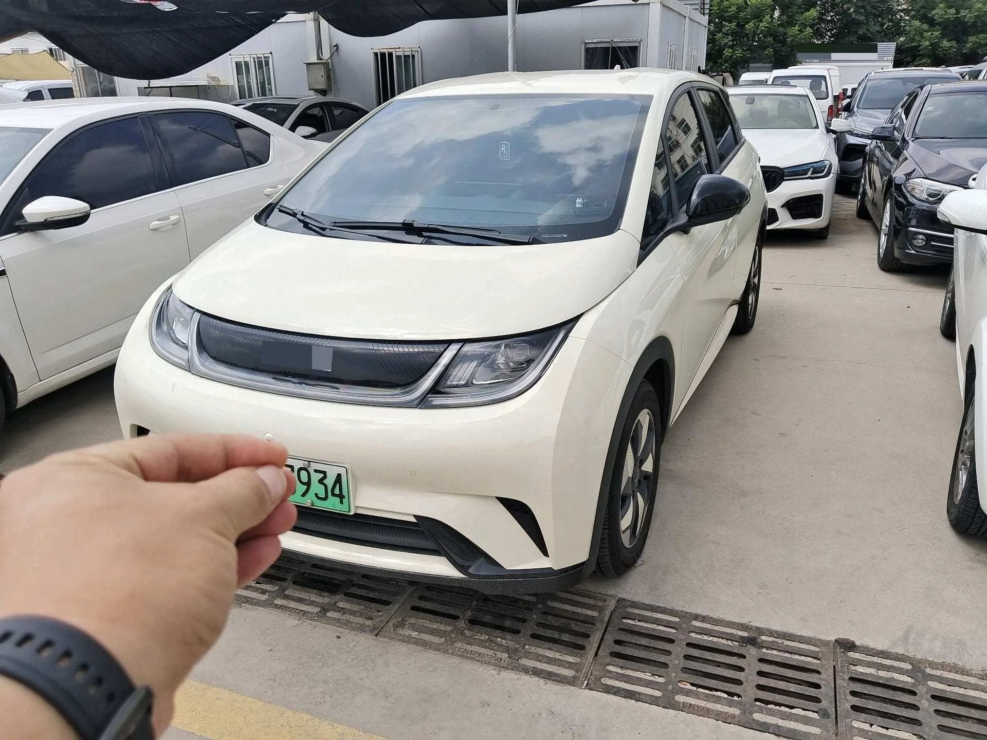 BYD 2025 Dolphin Smart Driving Edition 420km Freedom Edition Automatic Transmission