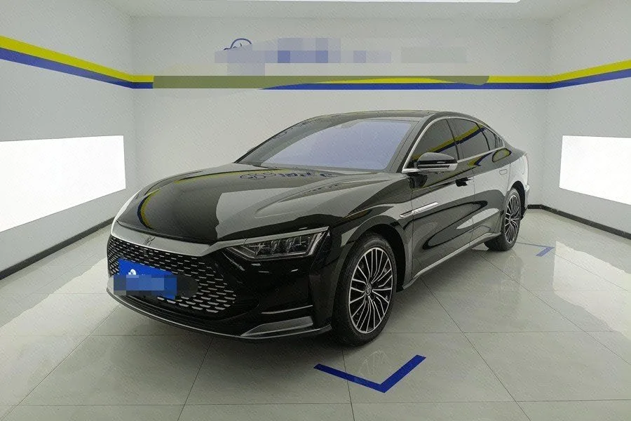 2020 Han DM 4WD Performance Premium Edition