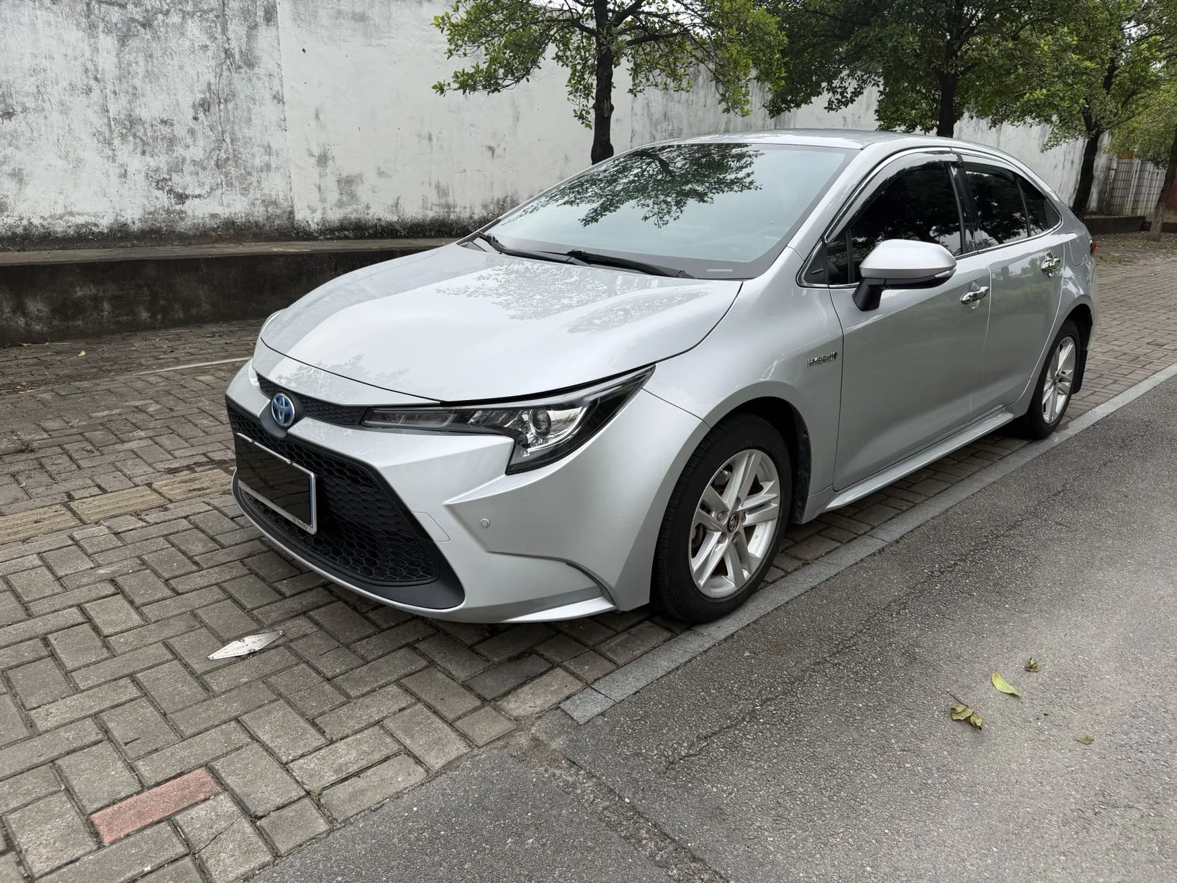 Levin 2019 Hybrid 1.8H E-CVT Entry-level Edition (National V Emission Standard)