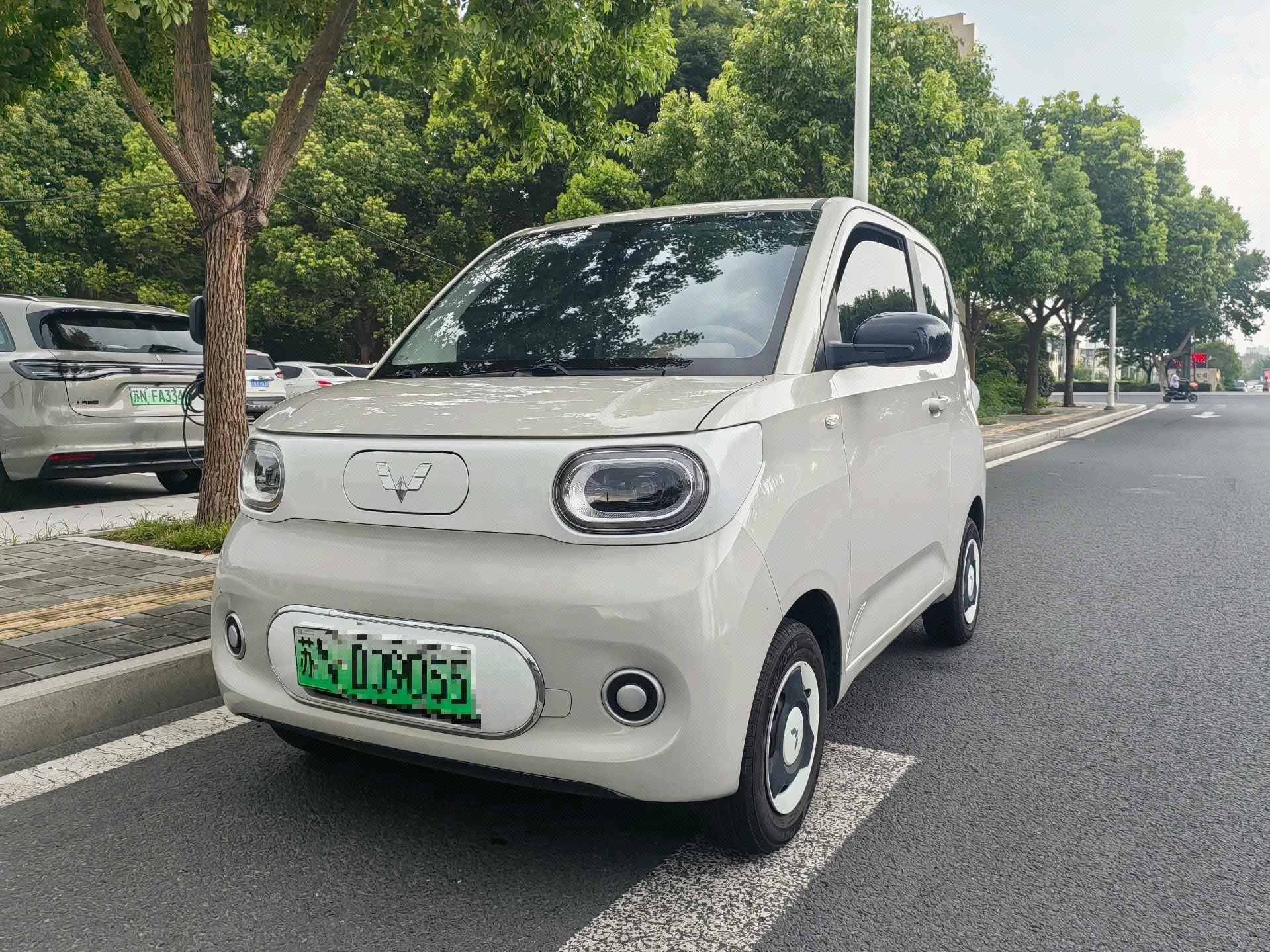 Wuling 2024 Hongguang MINI EV 215km Youth Edition Automatic