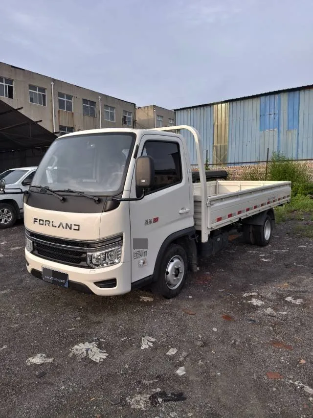 Foton 2021 Time Pioneer S1 1.6 Manual Transmission