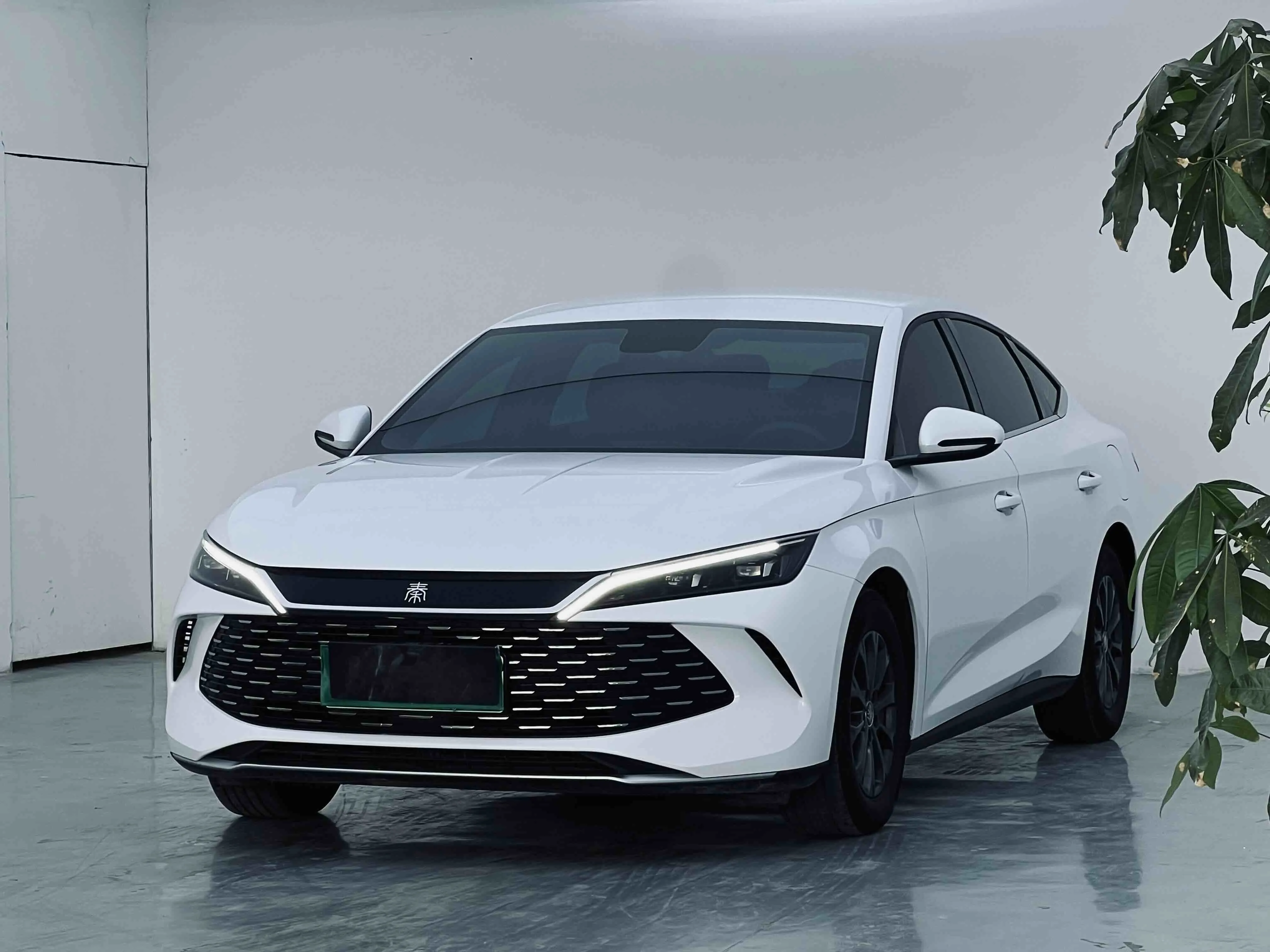 Qin L 2024 DM-i 80KM Leading Edition