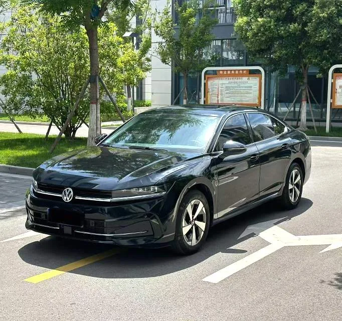 Volkswagen 2024 Magotan 2.0TSI 380TSI Premium Edition Automatic