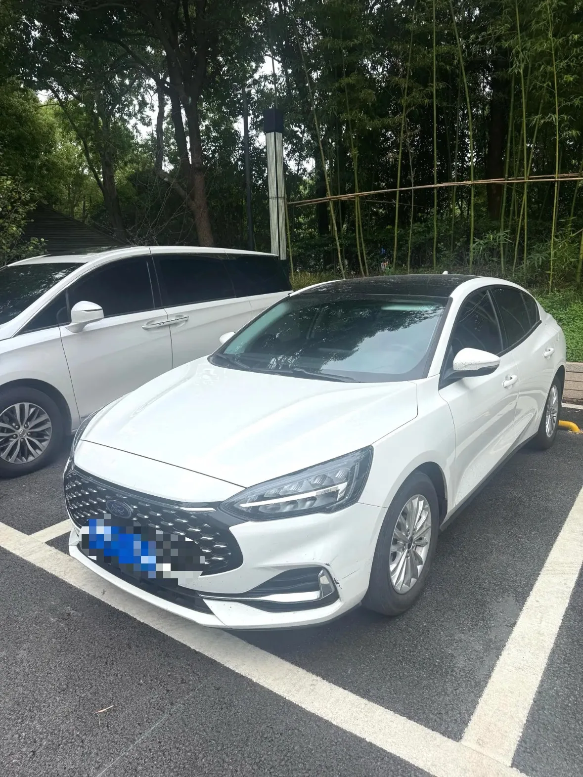 Ford Focus 2021 Sedan 1.5L Manual Sport Edition