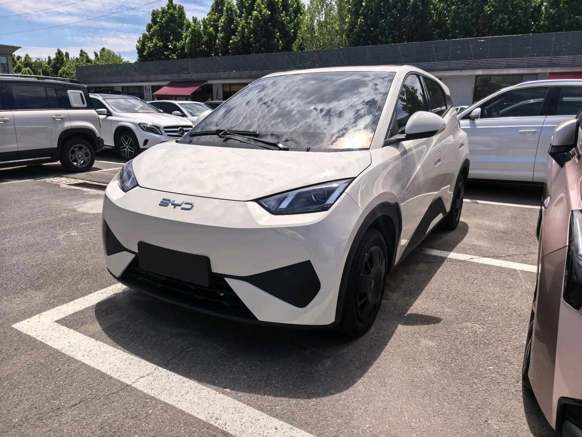 BYD 2025 Seagull Smart Driving Edition 305km/h Vitality Edition Automatic