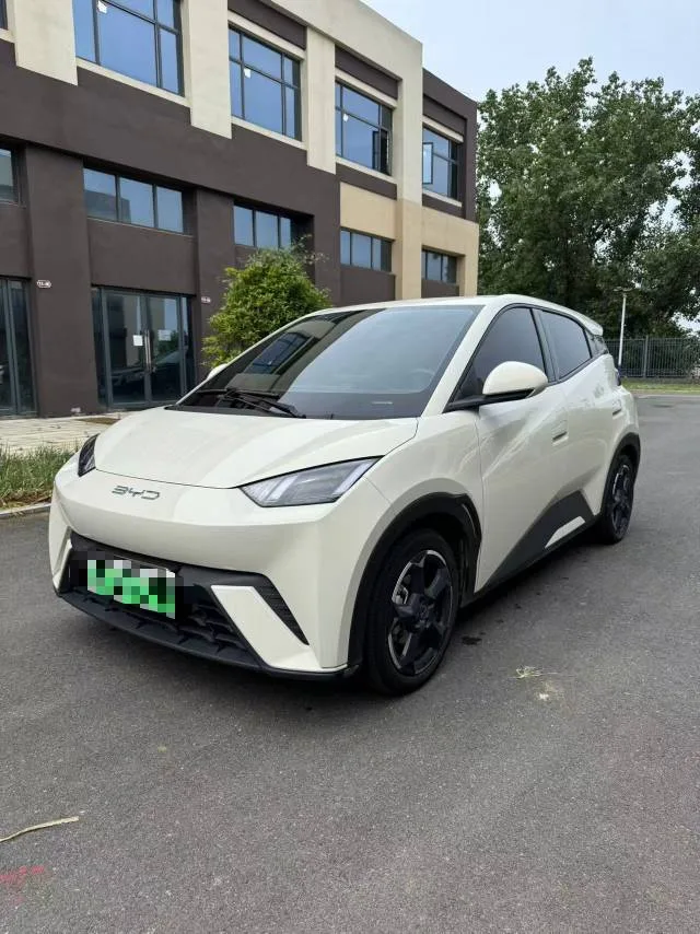 BYD 2023 Seagull Vitality Edition Automatic