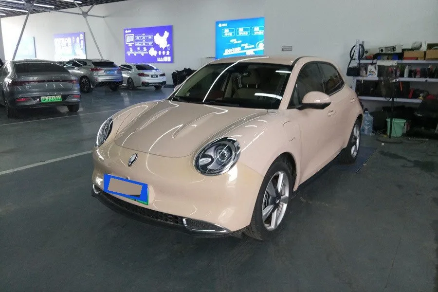 Eula Good Cat 2022 Model, 500 km Long-Range, Luxury Edition, Ternary Lithium Battery