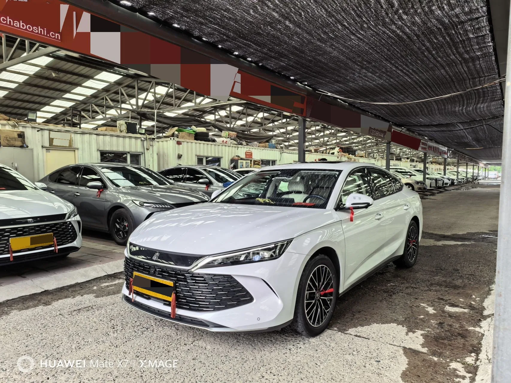 Qin L 2024 DM-i 120KM Excellent Edition