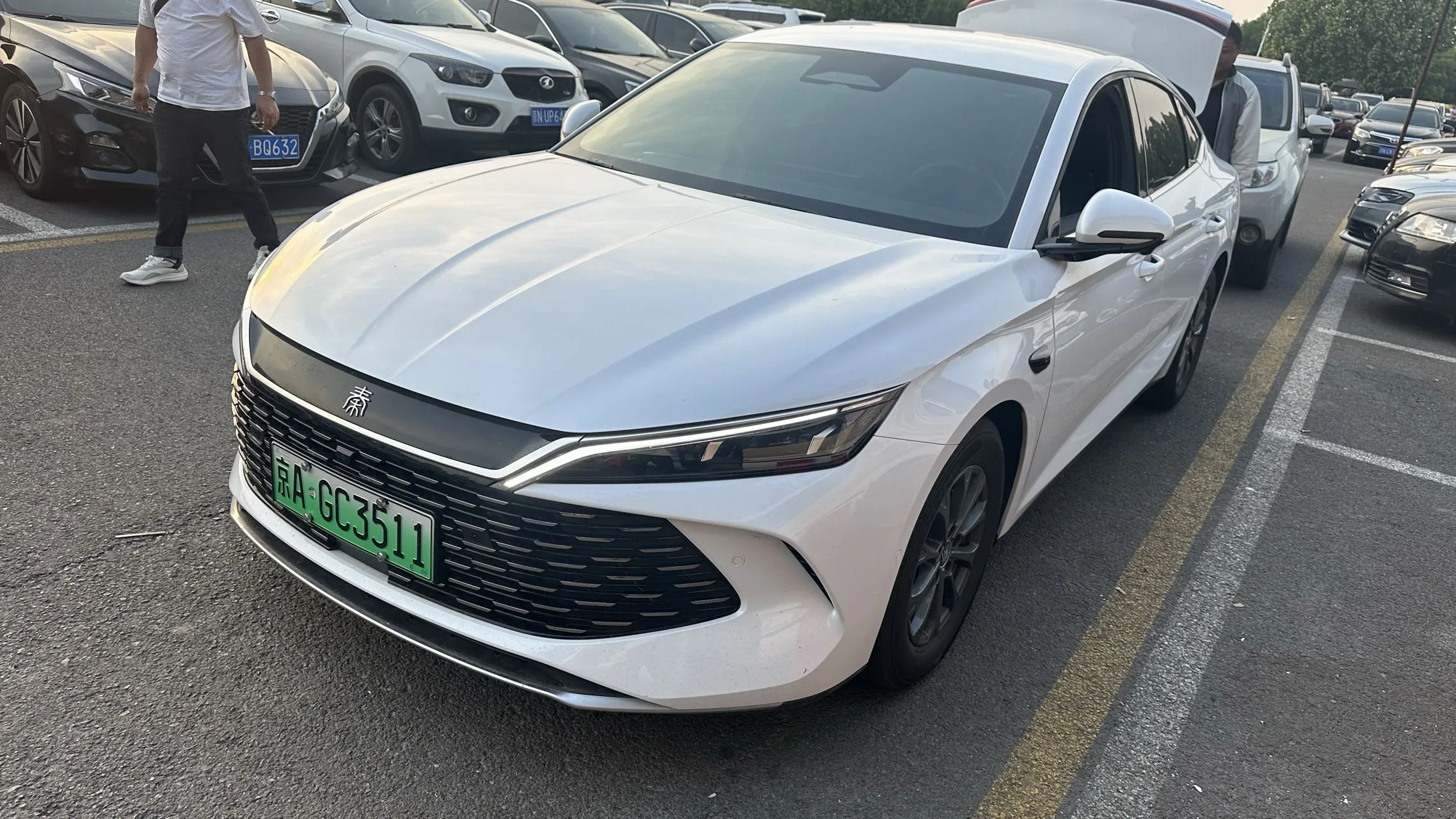 世界 2025 秦 L DM-i 1.5 CVT 聪明的 驾驶 版 80公里 领导 模型 自动的