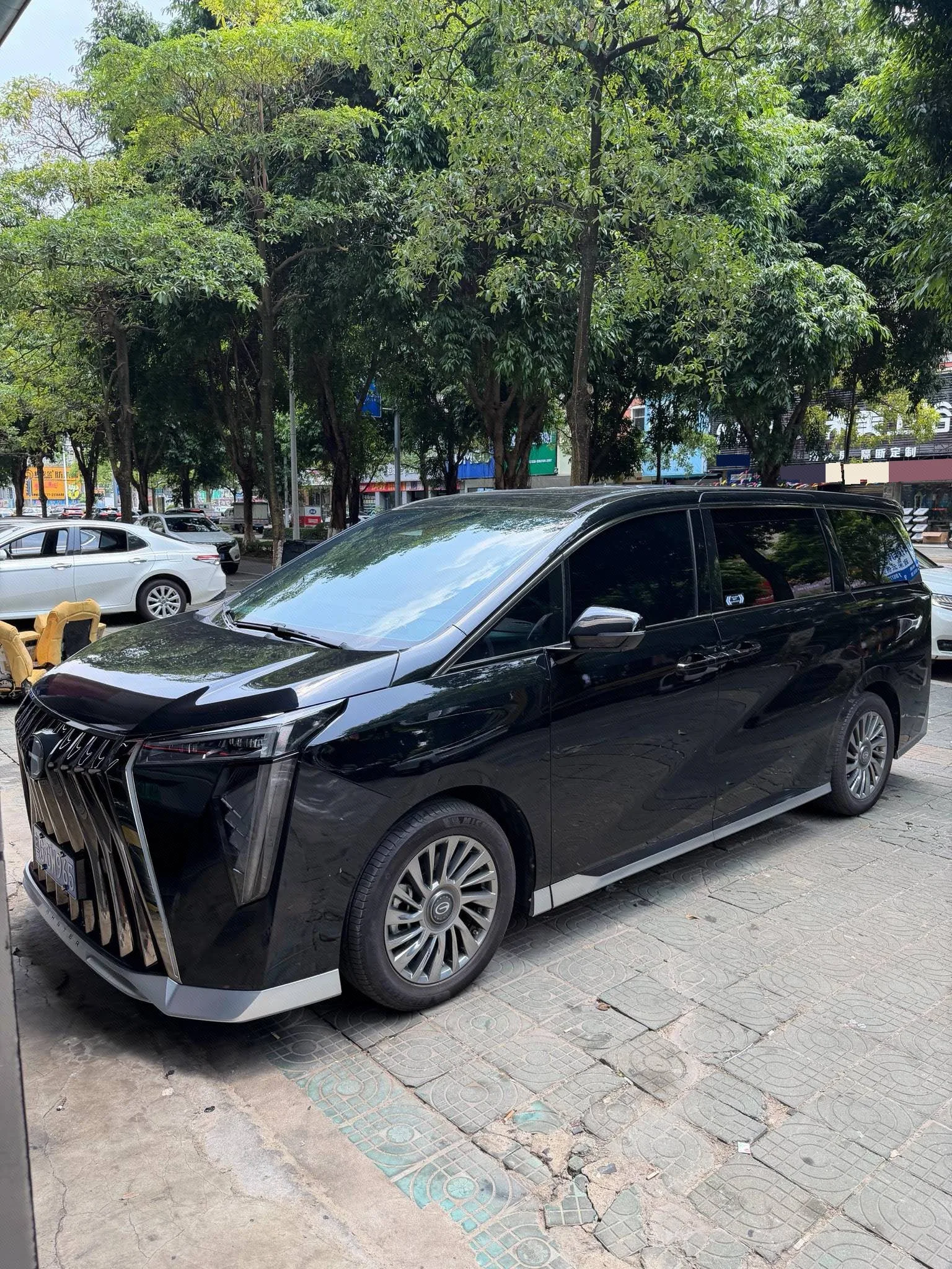 Trumpchi 2024 M8 2.0T 400T Master Series Supreme Edition Automatic