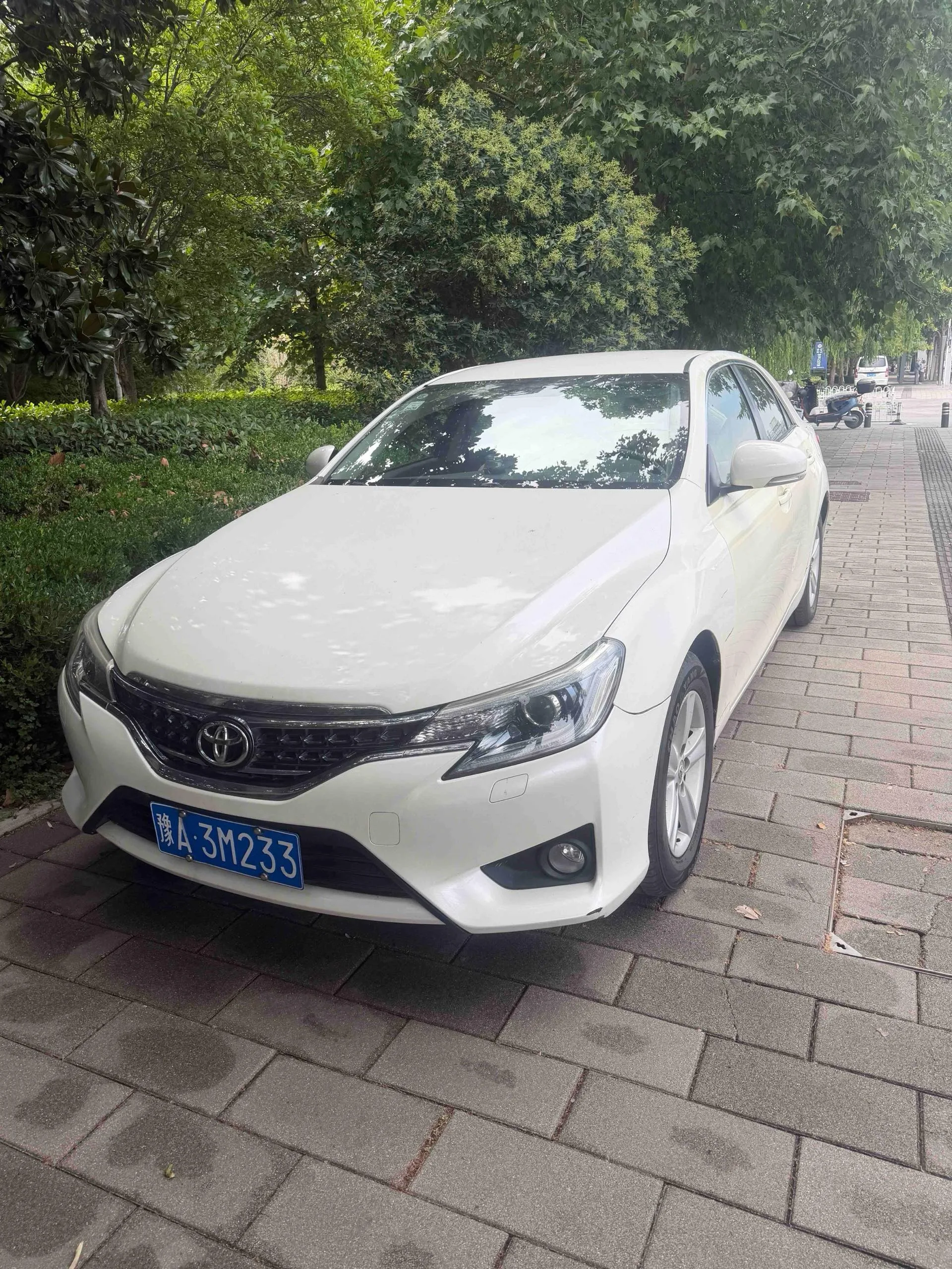 Reiz 2013 2.5S Elite Edition