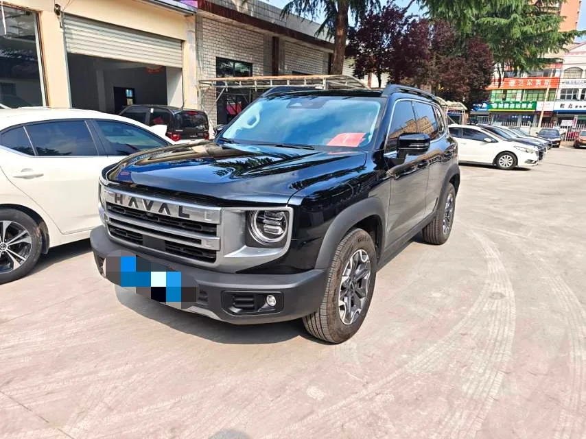 Haval 2024 Great Dog 2.0T Chinese Native Dog Edition Automatic