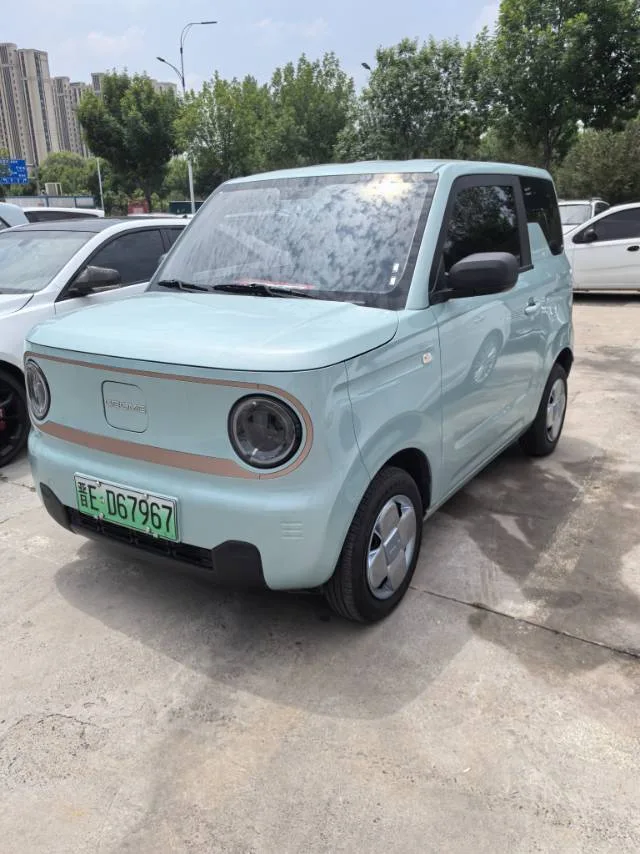 Panda 2024 Panda Mini 200km Endurance Bear