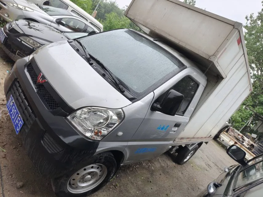 Wuling 2019 Rongguang Light Truck 1.5 Base Model, Single Cab, Manual Transmission
