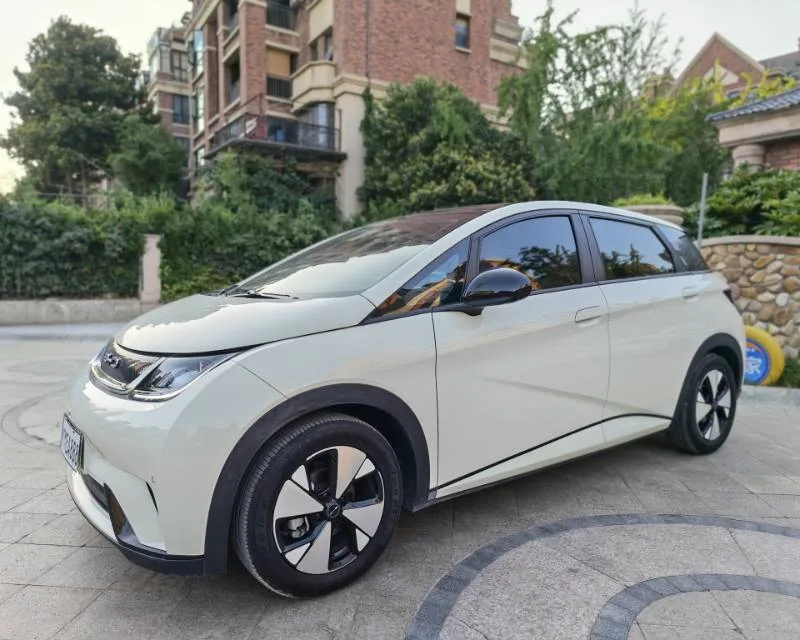 BYD 2023 Dolphin 420km Fashion Edition Automatic