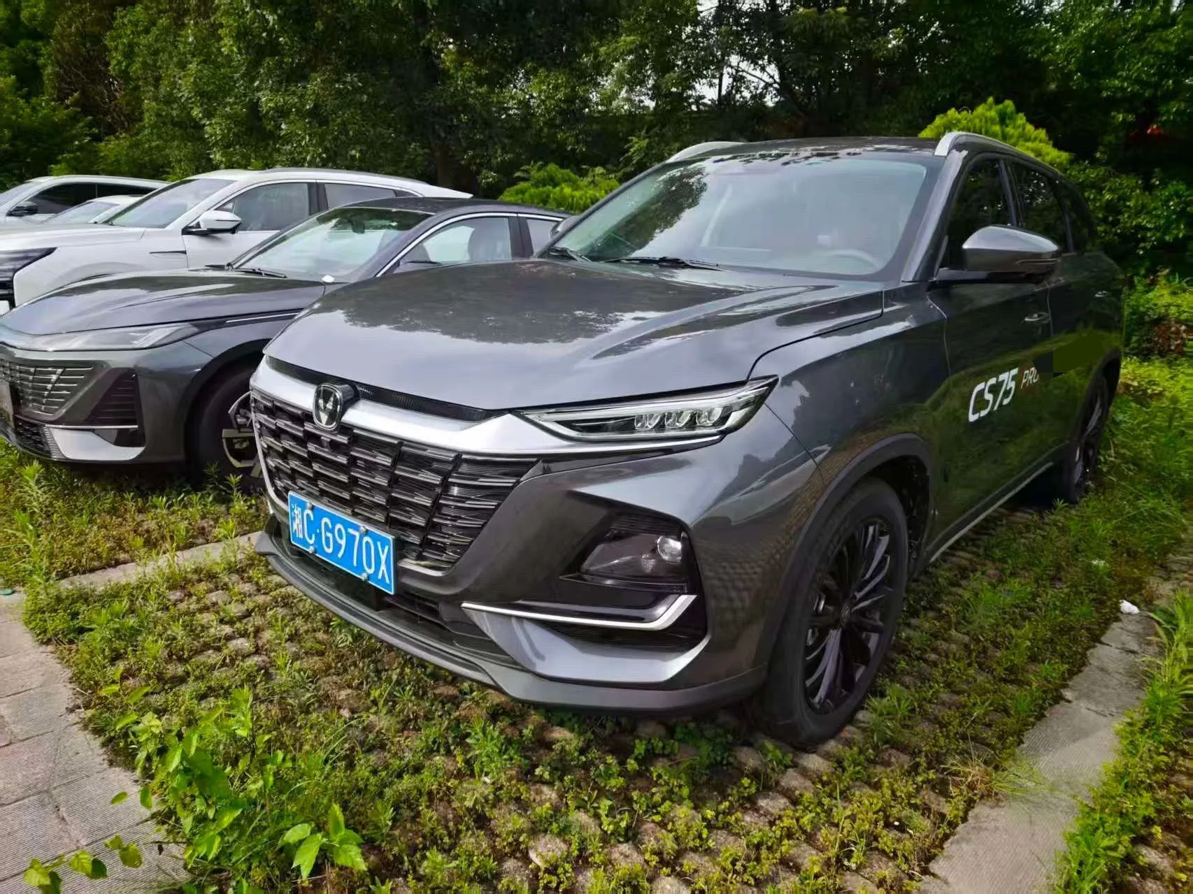 长安 2026 CS75 专业版 1.5吨 优质的 7座 自动的