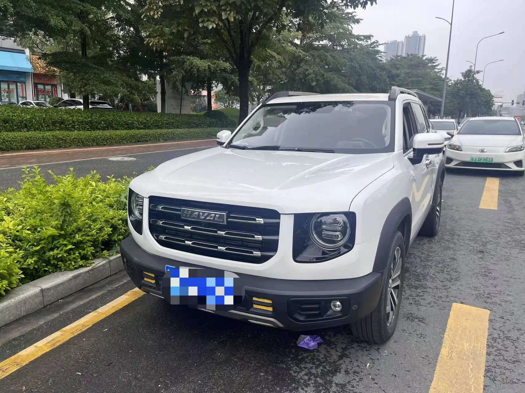 Haval Big Dog Automatic