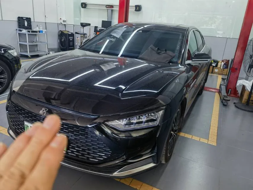 2020 Han DM 4WD Performance Luxury Edition