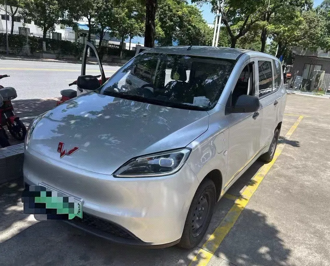 Wuling Hongguang New Energy 2024 Pure Electric Version