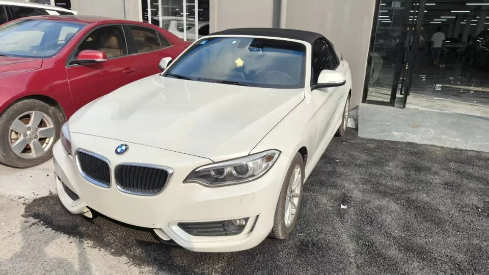 2015 BMW 2 Series 218i Convertible