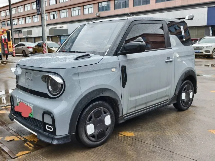 Geely 2025 Panda MINI 210km Panda Go-Kart Automatic