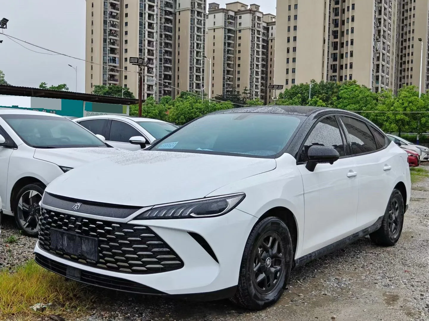 BYD 2025 Qin PLUS DM-i 1.5 CVT Intelligent Driving Edition 55KM Leading Model Automatic