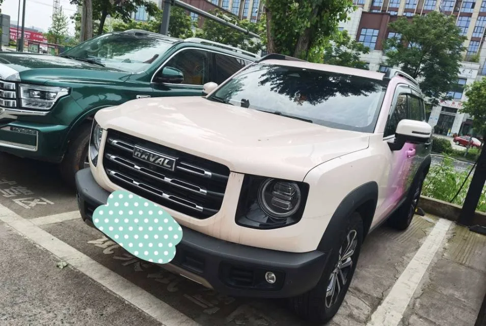 Haval Big Dog 2021 1.5T DCT 2WD Border Collie - Lucky Edition