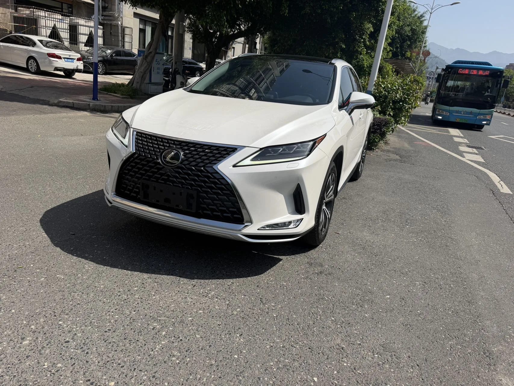 Lexus RX 2020 300 AWD Elegant Edition (China V Emission Standard)