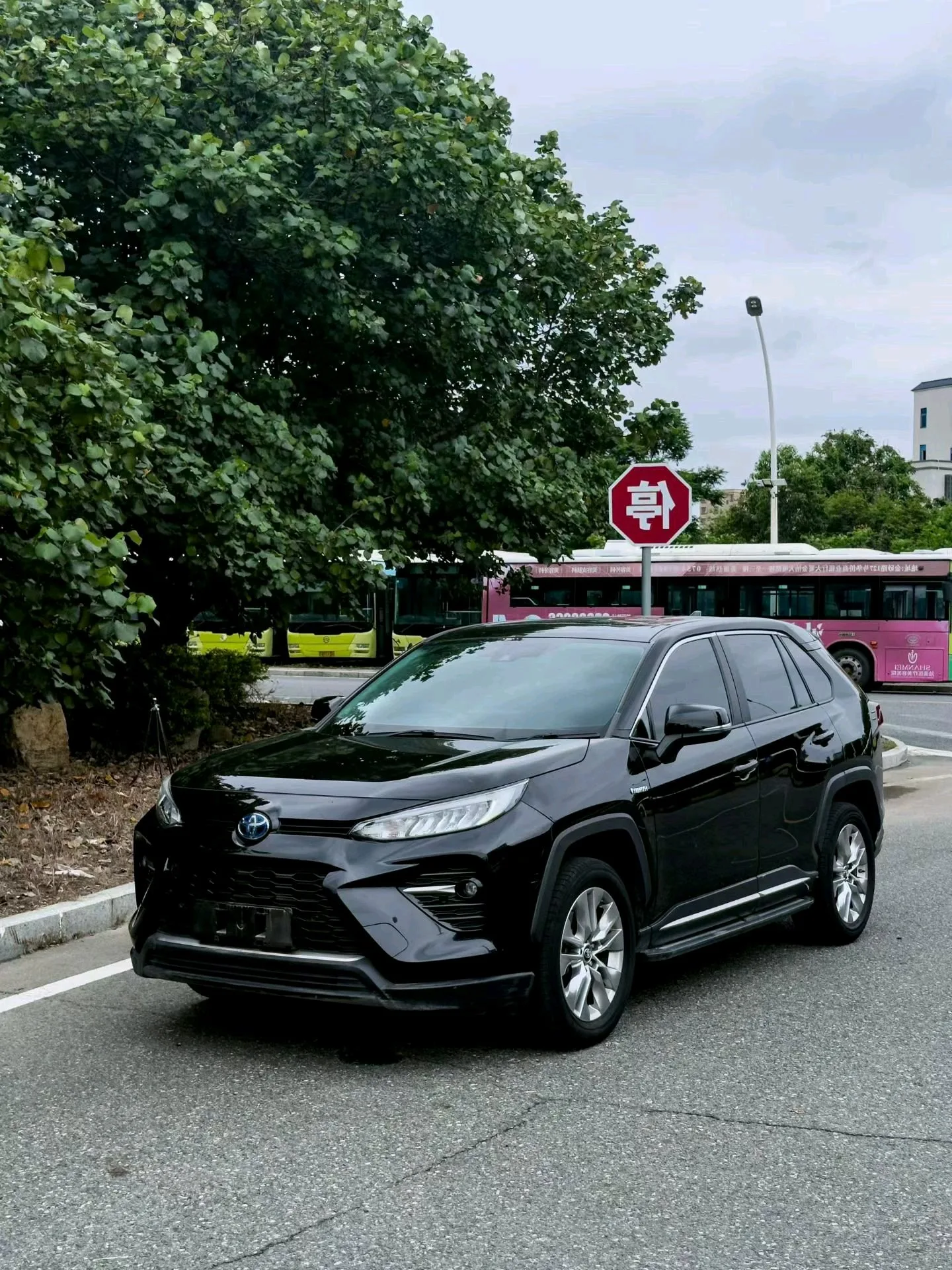 2020 Toyota Vellfire Hybrid 2.5L E-CVT 2WD Luxury Edition