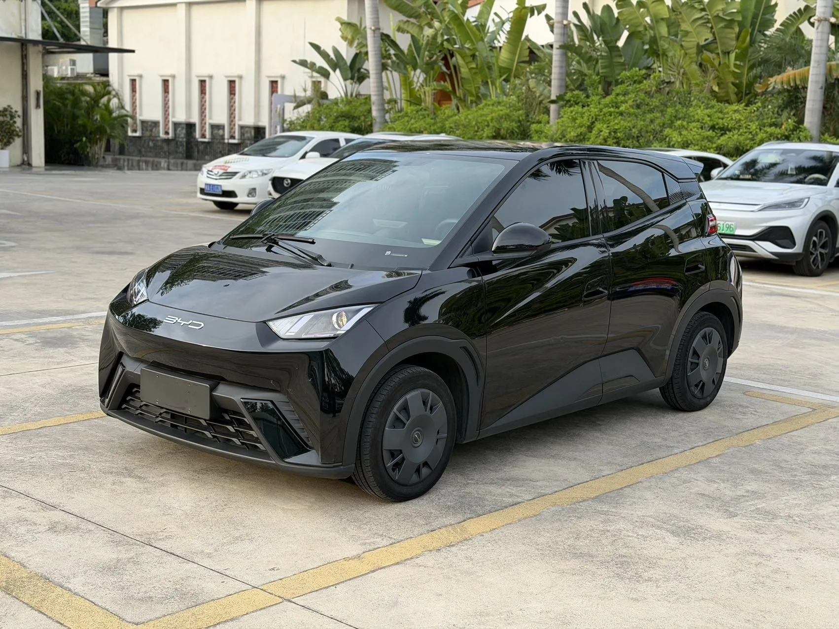 BYD 2023 Seagull Vitality Edition Automatic