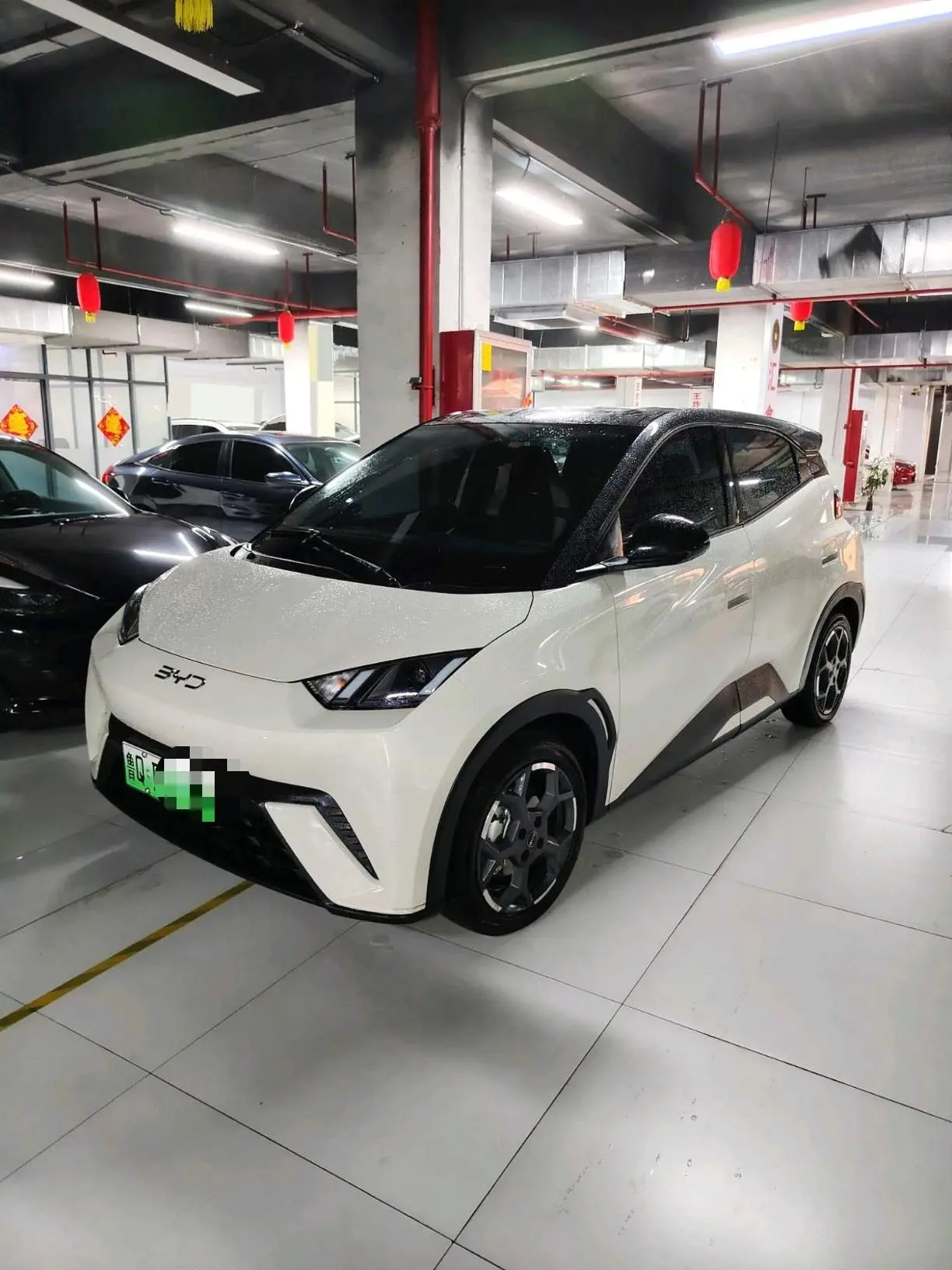 BYD 2025 Seagull 305km/h Freedom Edition Automatic
