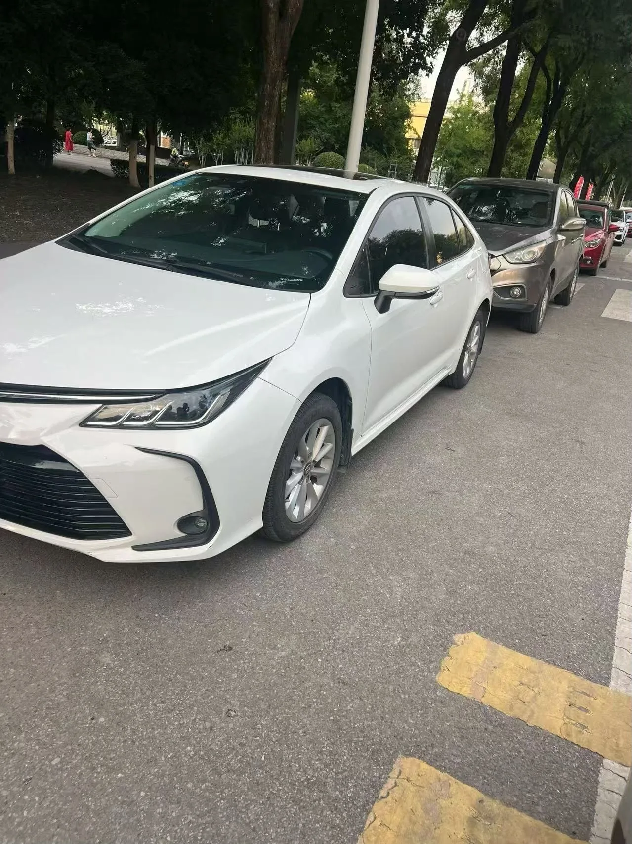 2019 Corolla 1.2T S-CVT GL-i Luxury Edition