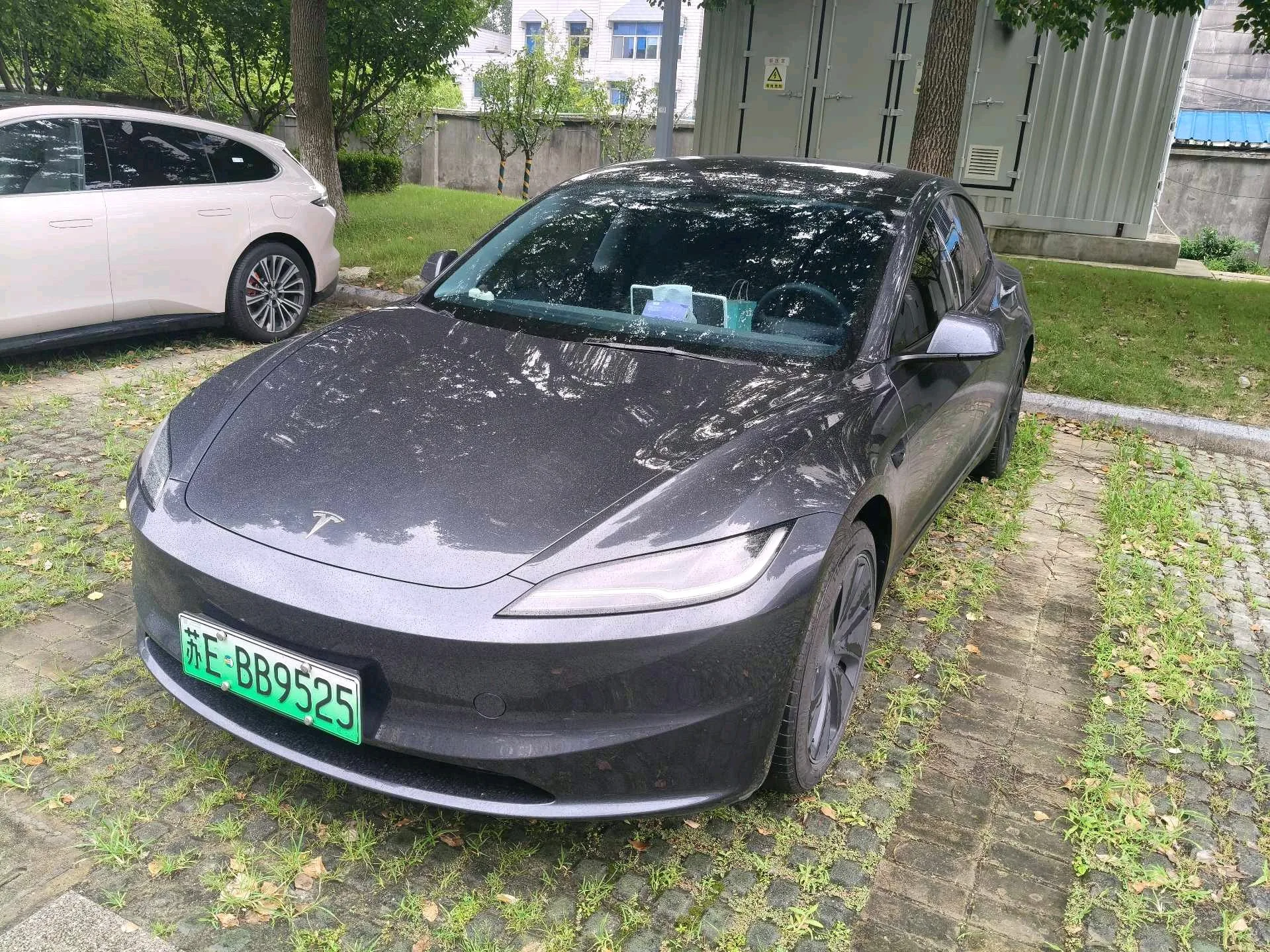 Tesla 2025 Model 3 Rear-Wheel Drive Automatic