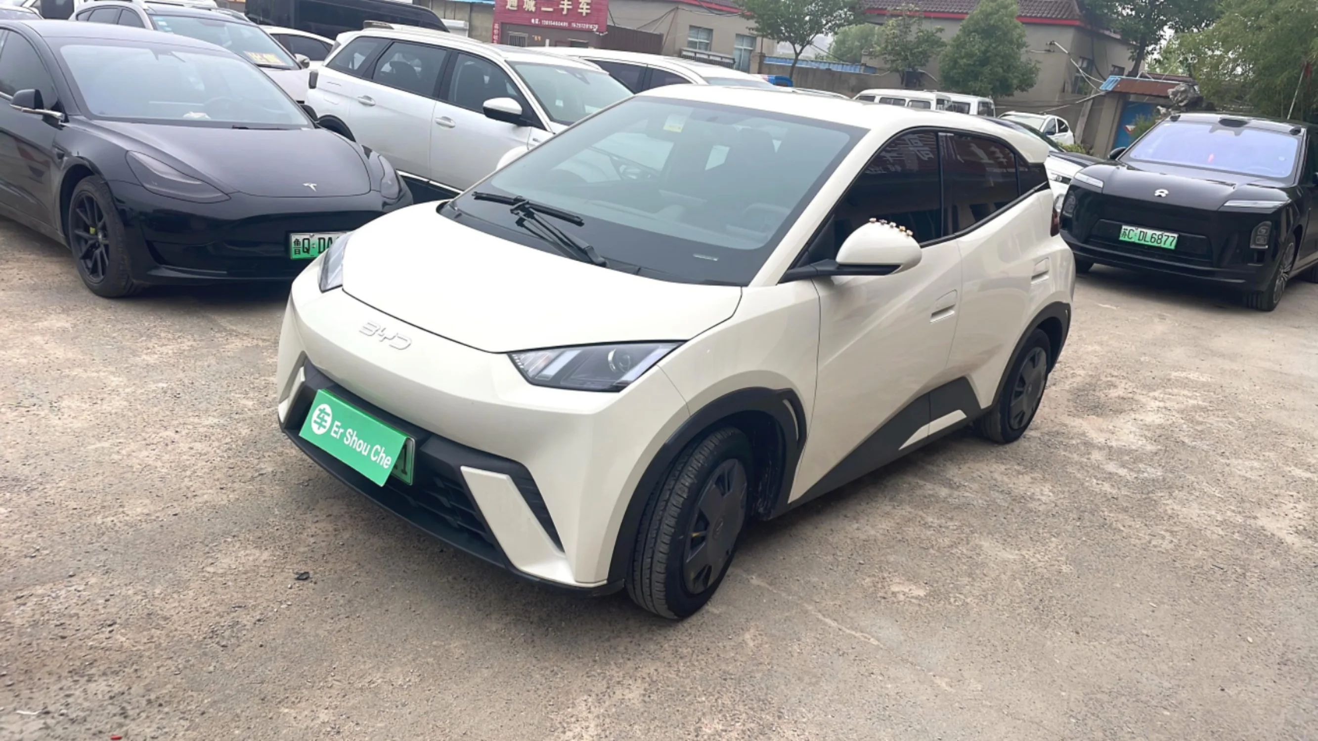 BYD 2024 Seagull Glory Edition 305km/h Vitality Edition Automatic