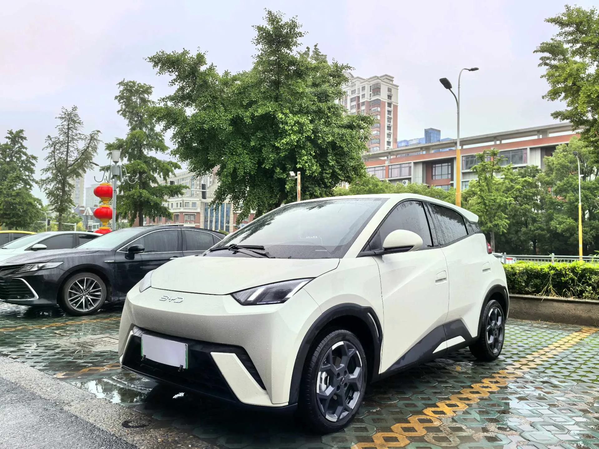 BYD 2025 Seagull 405km/h Flying Edition Automatic